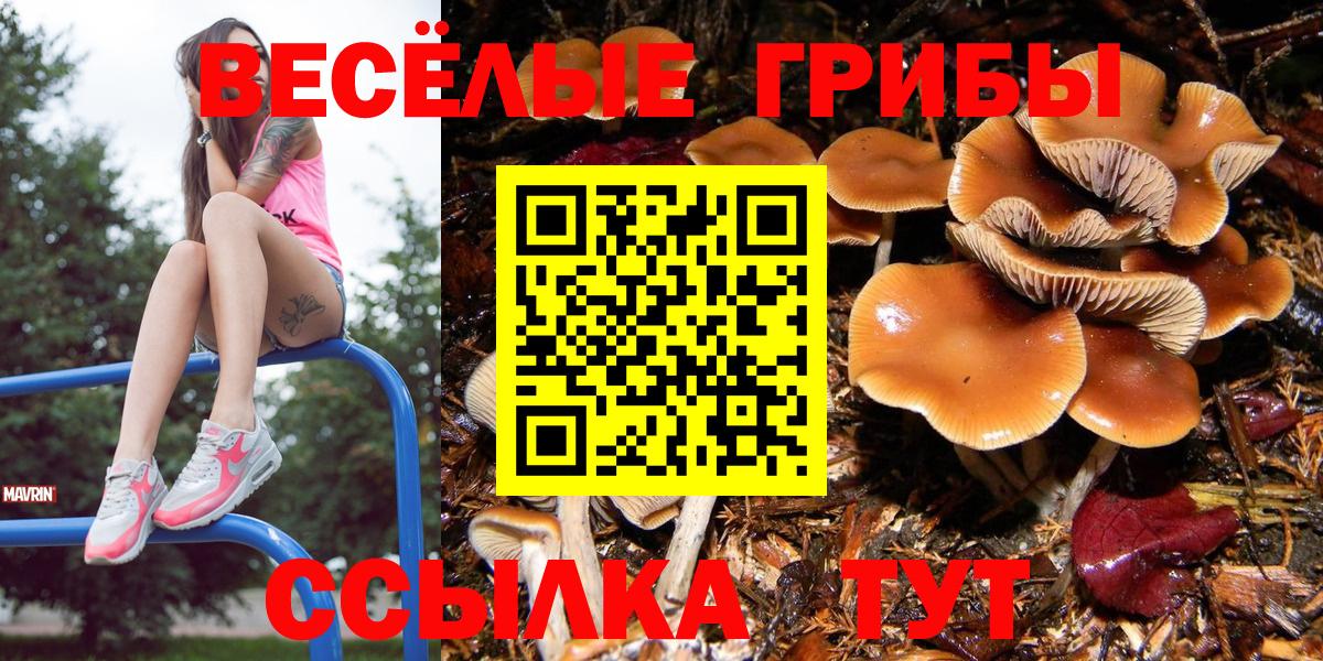 как найти закладки  Псилоцибиновые грибы GOLDEN TEACHER  Галлюциногенные грибы MAGIC MUSHROOMS  Вход с VPN  Кимры 