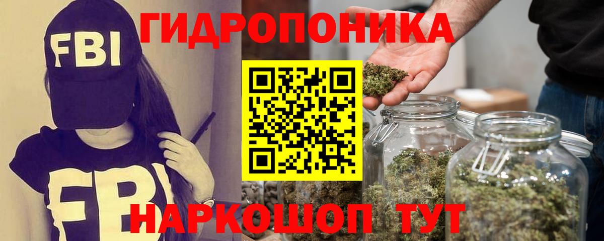 Бошки Шишки сатива Кимры